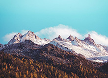 开云数字工具：让云端成为企业新生产力