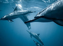 开云APP：让生活从“选择多”变成“选择更好”的艺术